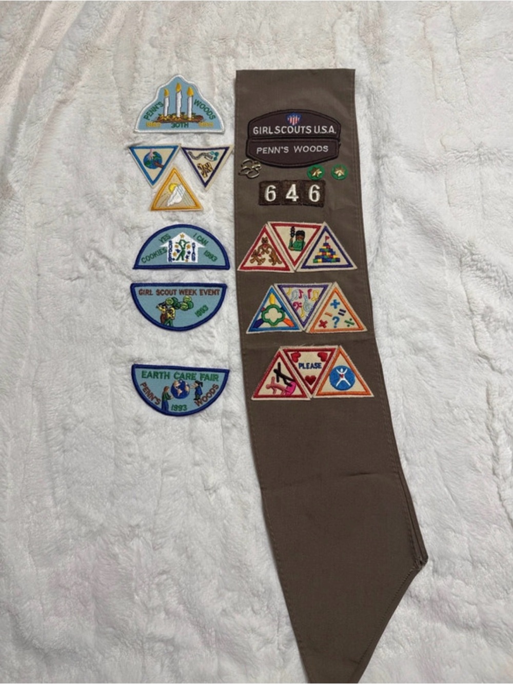 Girl Scout Brownie Sash with badges & Pins.